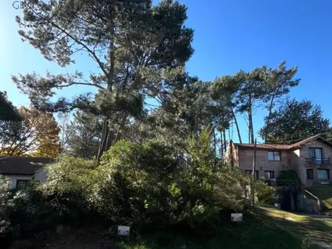 TERRENOS/FRACCIONES/LOTEOS - TERRENOS/FRACCIONES/LOTEOS - PINARES, PUNTA DEL ESTE