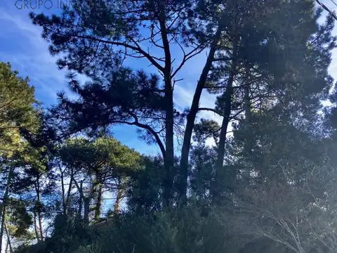 Terreno en Venta de 647,0 m2