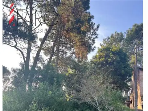 Lindo lote en venta en Pinares apto para Propiedad Horizontal