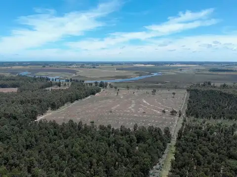 Venta de campo 76Has con costa