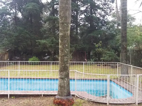 Antonio Van Dyck 3212