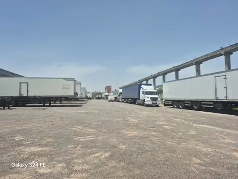 Carlos Pellegrini 3900