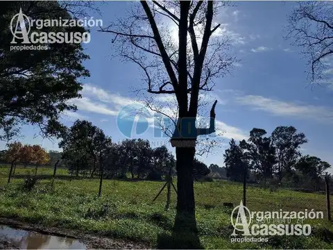 Terreno en Venta de 6000,0 m2