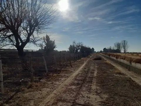VENTA FINCA EL MARTILLO RIVADAVIA