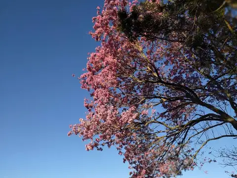 Zona Rural . Victor Manuel II