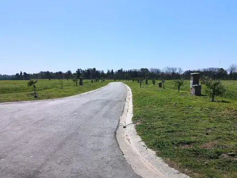 Terreno en Venta de 704,0 m2