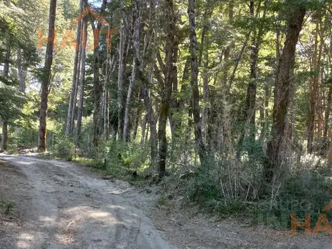 8.000m2 en zona Brazo Rincón, Villa la Angostura, Neuquén
