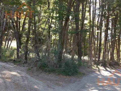 8.000m2 en zona Brazo Rincón, Villa la Angostura, Neuquén