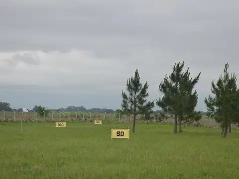 Terreno en Venta de 1698,0 m2