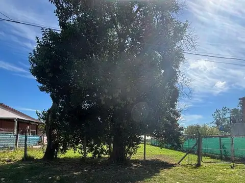 Vicente Quesada 1500