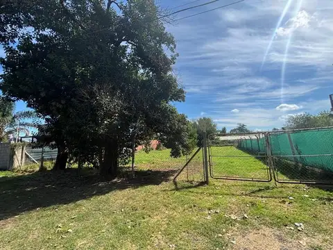 Vicente Quesada 1500