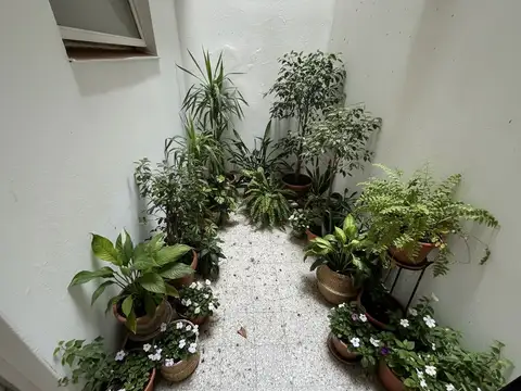 Departamento en Venta 38 años