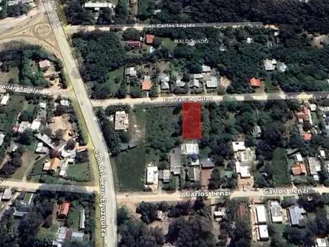 Froilán Aguilar 100