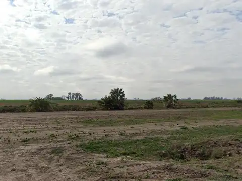 Campo en Salto Grande