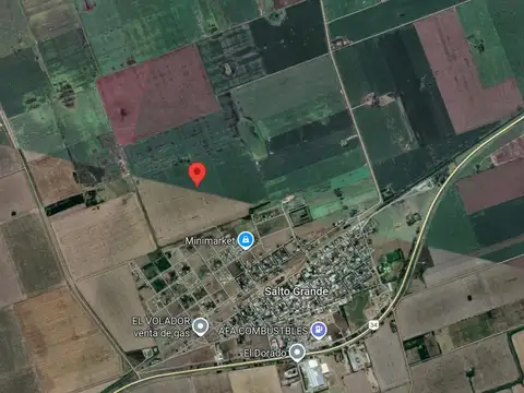Campo en Salto Grande