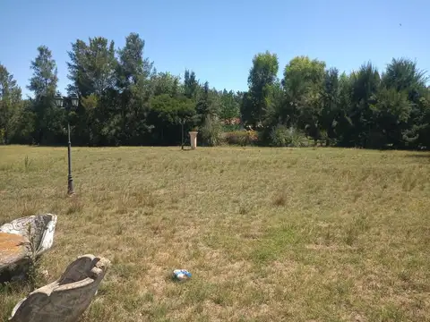 Haras del Sur I