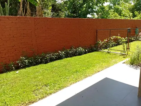 Espectacular Nuevo Valor En Cactus