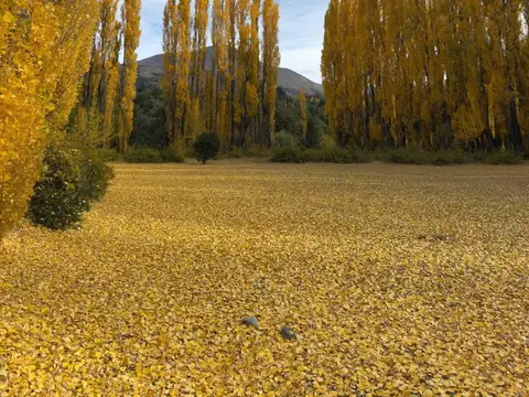 Lote en Club de Campo Dos Valles