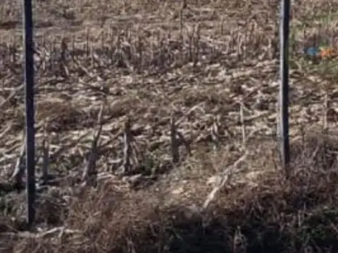 Campo - Esteban De Luca