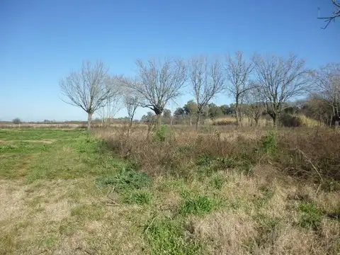 Calle España 5100
