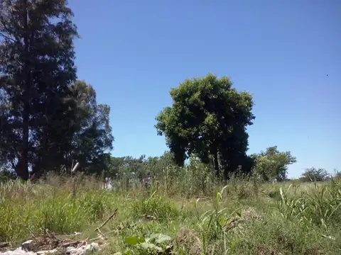 Terreno Campo  en Venta en Zarate Centro, Zárate, G.B.A. Zona Norte