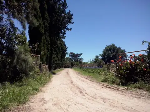 Calle España 5100