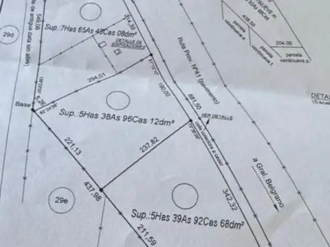 Campo 19 ha con frente RP 41 - Casa 3 amb. Molino y Tanque Australiano - San Miguel del Monte