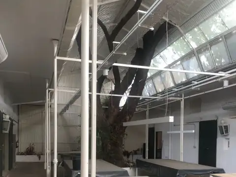 Local en Venta en Palermo, USD 5.500.000