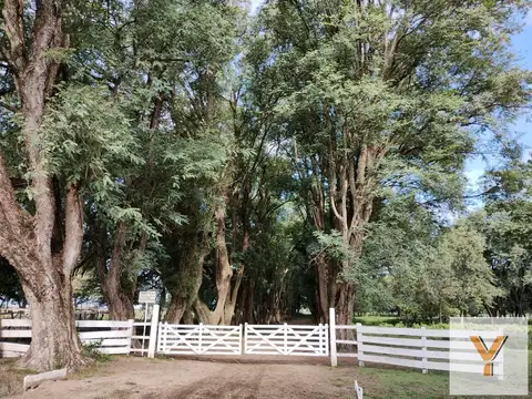 Ruta Provincial 16