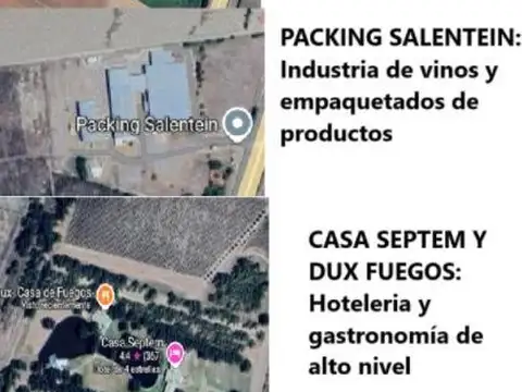 RUTA 40 S/N TUPUNGATO- TUNUYAN