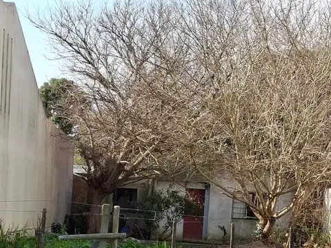 Terreno en  Lisandro Olmos