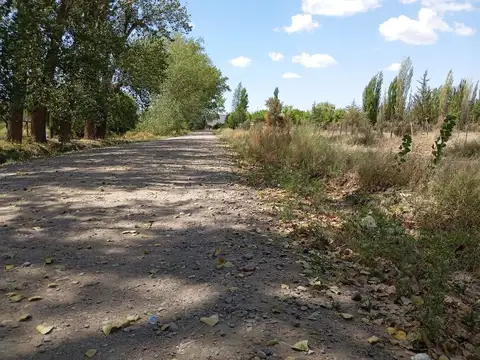 Terreno en Venta en San Jose De Tupungato, USD 60.000