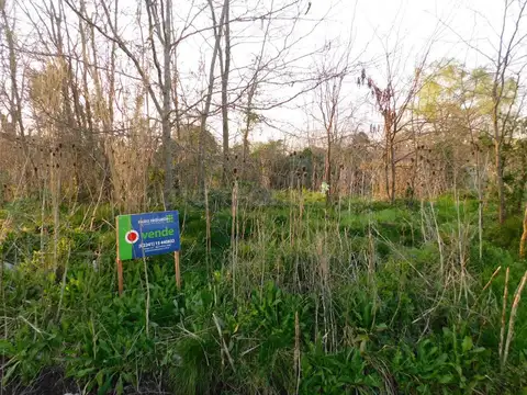 VENTA DE 5 LOTES EN CHASCOMUS