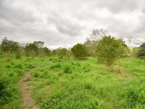 Terreno en Venta de 456,0 m2
