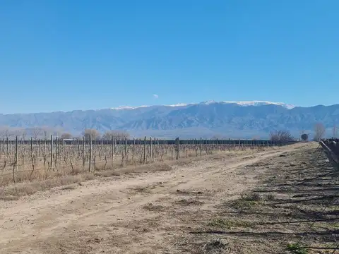 VENTA FINCA SAN CARLOS