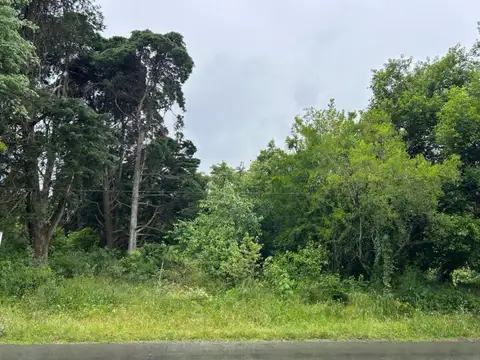 Terreno - Barrio El Cazador