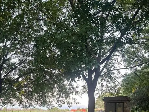 Haras El Malacate