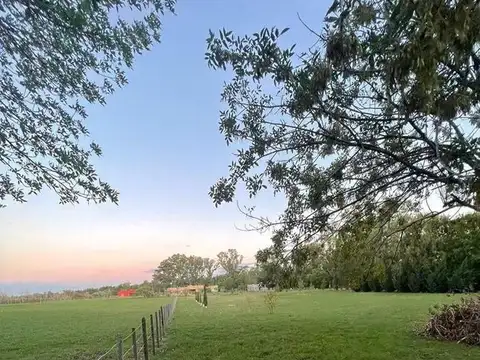 Haras El Malacate