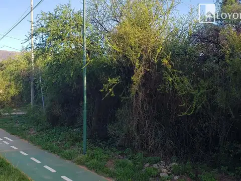 Lote de 7098 m2 sobre Av. Mandarinos.