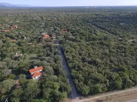Av. Mandarinos