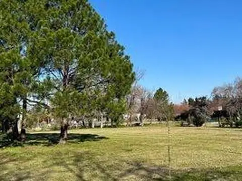 Fincas de San Vicente