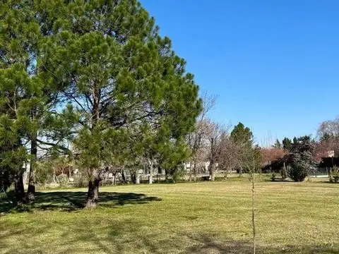 Fincas de San Vicente