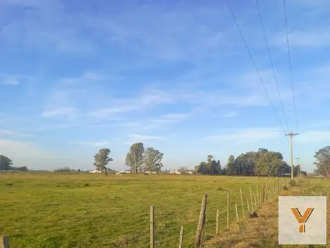 Terreno en Venta de 140000,0 m2