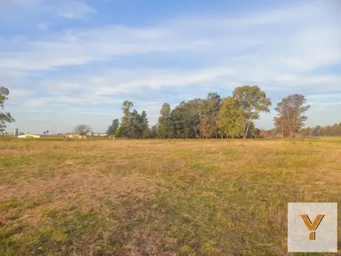 Terreno en venta - 140.000Mts2 - San Andrés de Giles