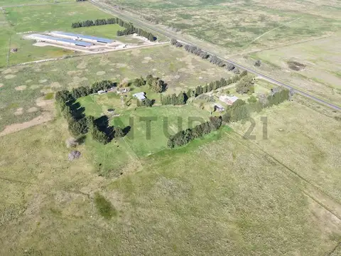 Ruta 36 km 94 MAGDALENA - CAMPO/FRACCIÓN A LA VENTA