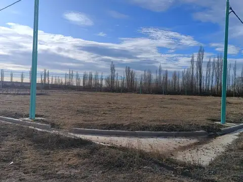 Terreno en Venta en Cinco Saltos, USD 10.000