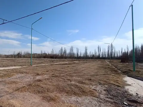 Terreno en Venta en Cinco Saltos, USD 10.000