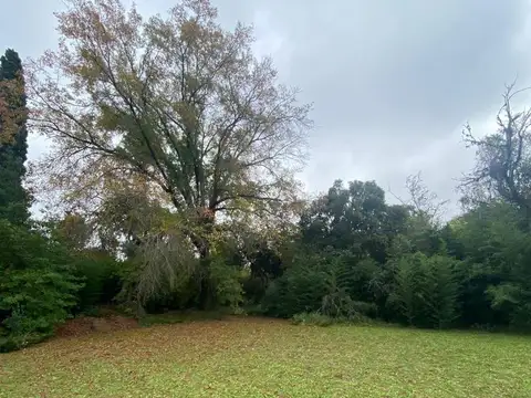 Terreno en Venta 25  mts Frente