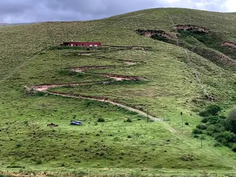 Campo mixto 2.250 ha – USD 500/ha –Sierras de Catamarca – Agrícola-ganadero con casco