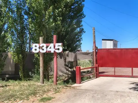 LOTE EN VENTA, COLONIA MOLINA, GUAYMALLEN, MZA.